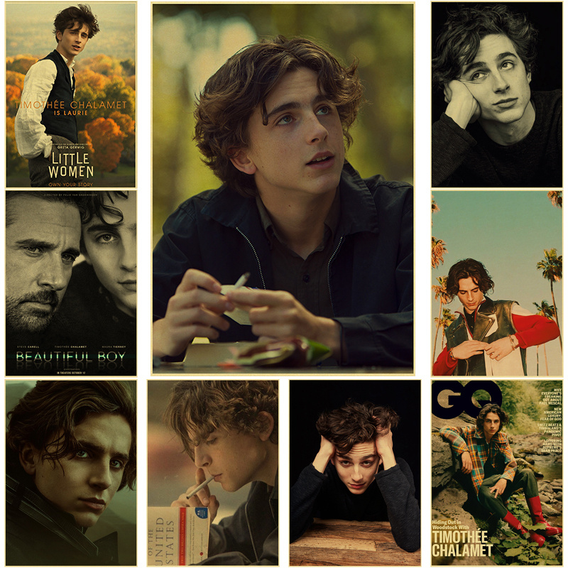 Home Bar And Theater - Timothee Chalamet rétro toile peinture affiche