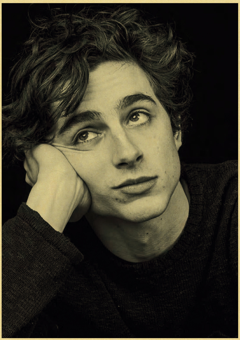 Timothee Chalamet rétro toile  - Home Bar And Theater avis et prix
